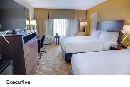 EXECUTIVE 2 QUEEN BED